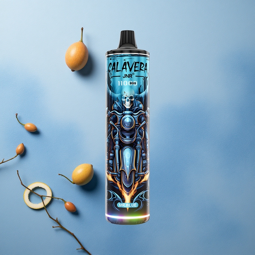 JNR Calavera 11000 Puffs 21ml E-liquid 850mAh Battery Disposable Vape Mr Blue