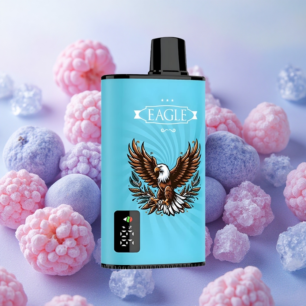 JNR EAGLE Smart 23000 Puffs 25ml E-liquid Type-C Blueberry Ice