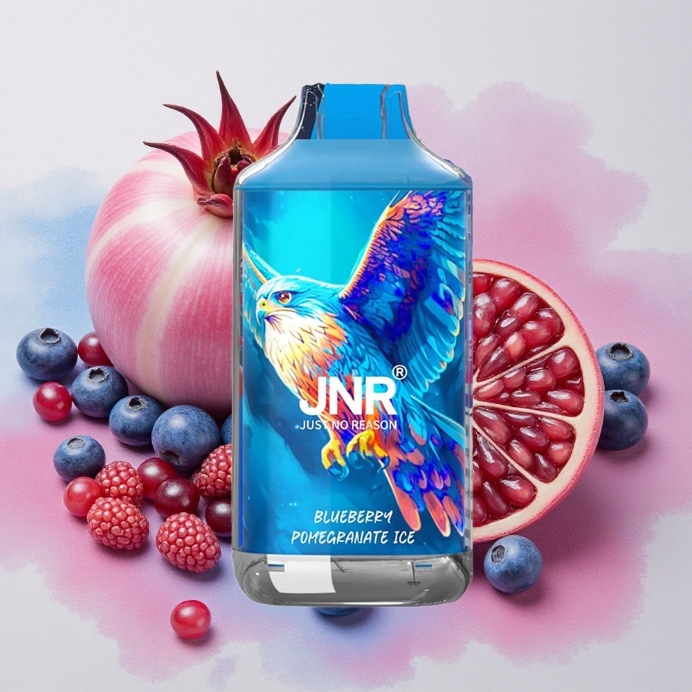JNR Falcon 16000 Puffs 22ml E-liquid Capacity Dual Mesh Coil Blueberry Pomegranate Ice