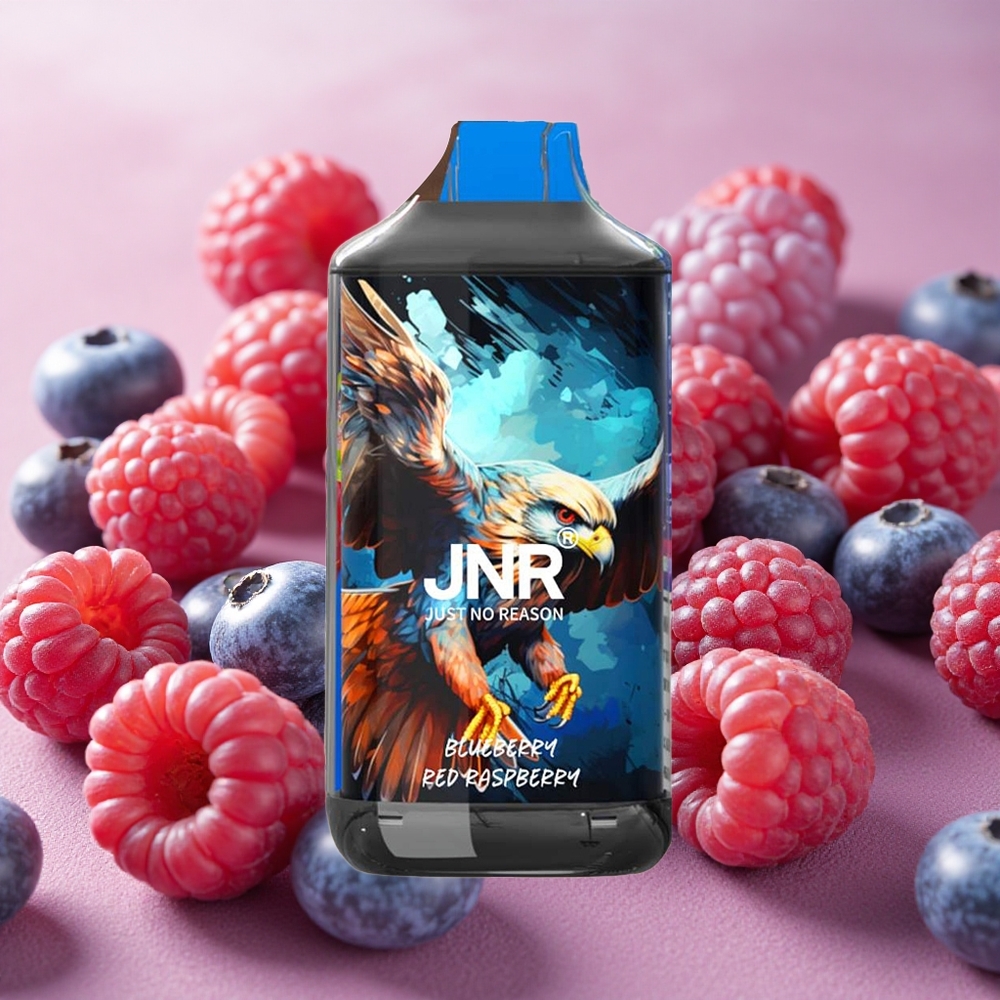 JNR Falcon 16000 Puffs Dual Mesh Coil 22ml E-liquid Capacity Blueberry Red Raspberry