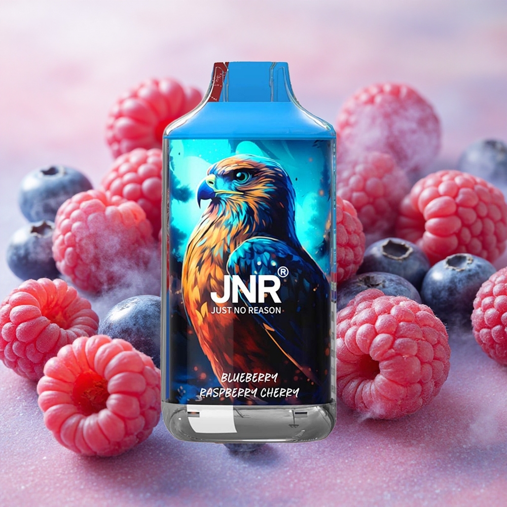 JNR Falcon 16000 Puffs Dual Mesh Coil Blueberry Raspberry Cherry
