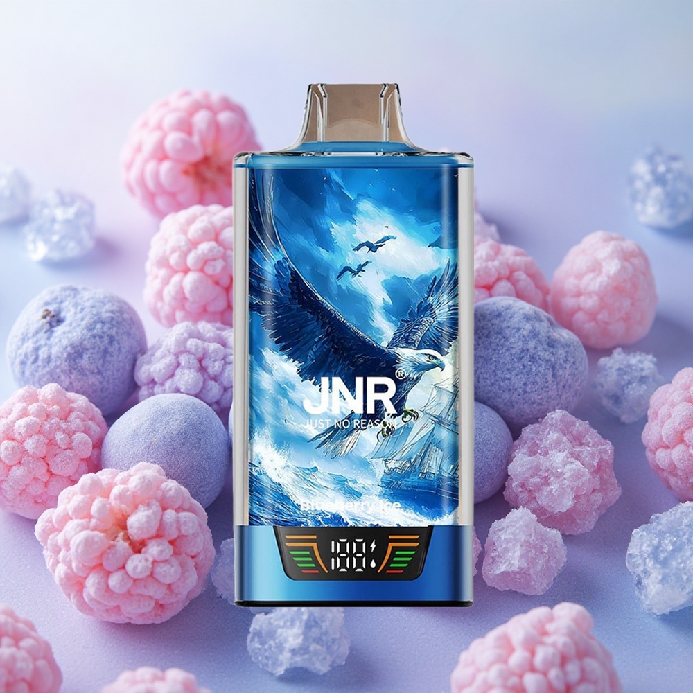 JNR Falcon Pro 28000 30ml 5% Nicotine Blueberry Ice