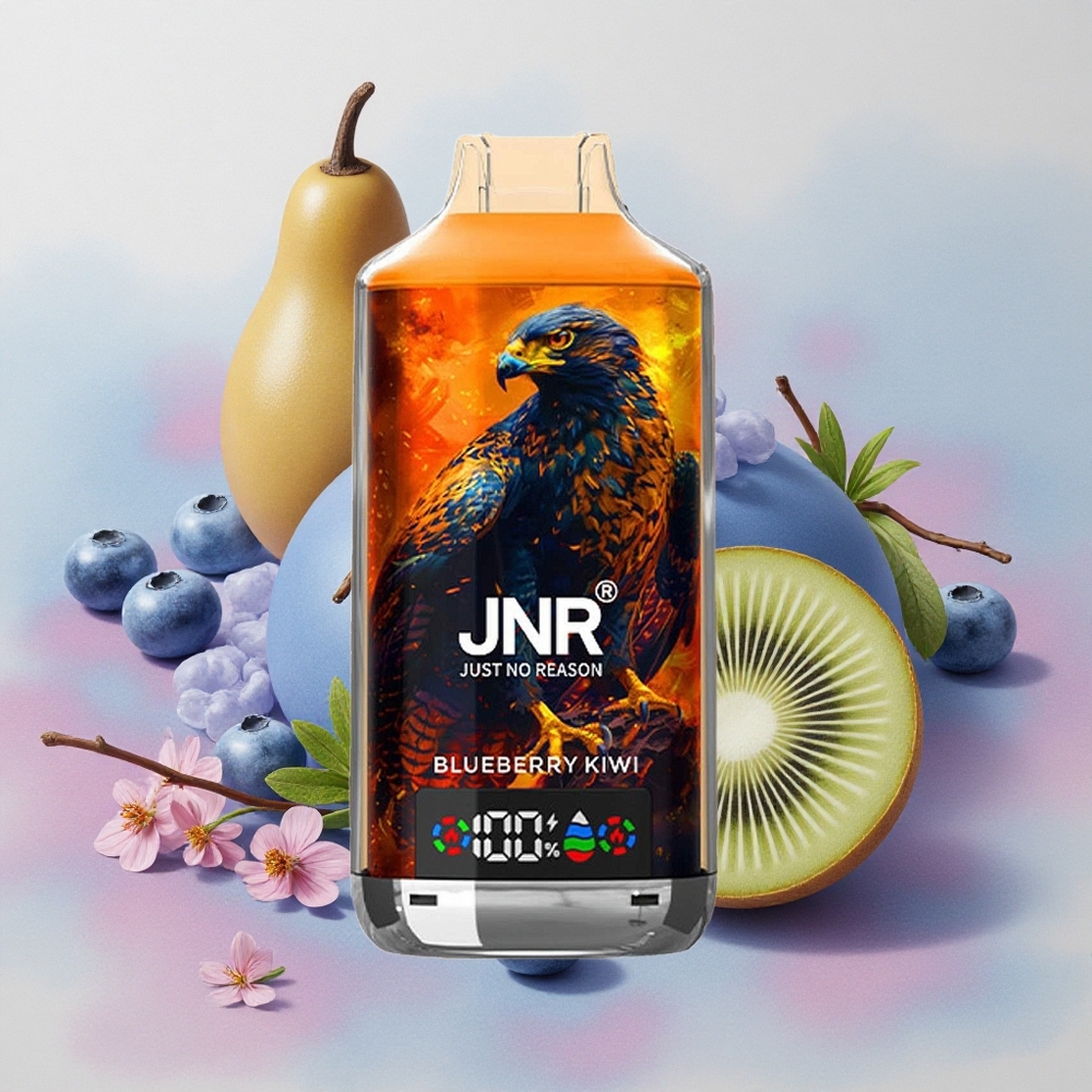 JNR Falcon X 18000 Puffs 24ml E-liquid Capacity Blueberry Kiwi