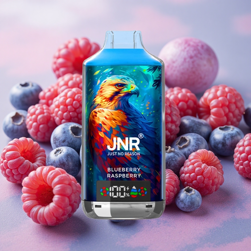 JNR Falcon X 18000 Puffs 24ml E-liquid Capacity Dual Mesh Coil Blueberry Raspberry