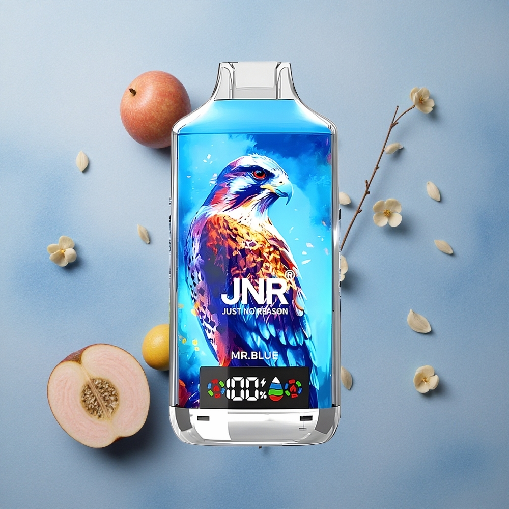 JNR Falcon X 18000 Puffs 24ml E-liquid Capacity Dual Mesh Coil Mr. Blue