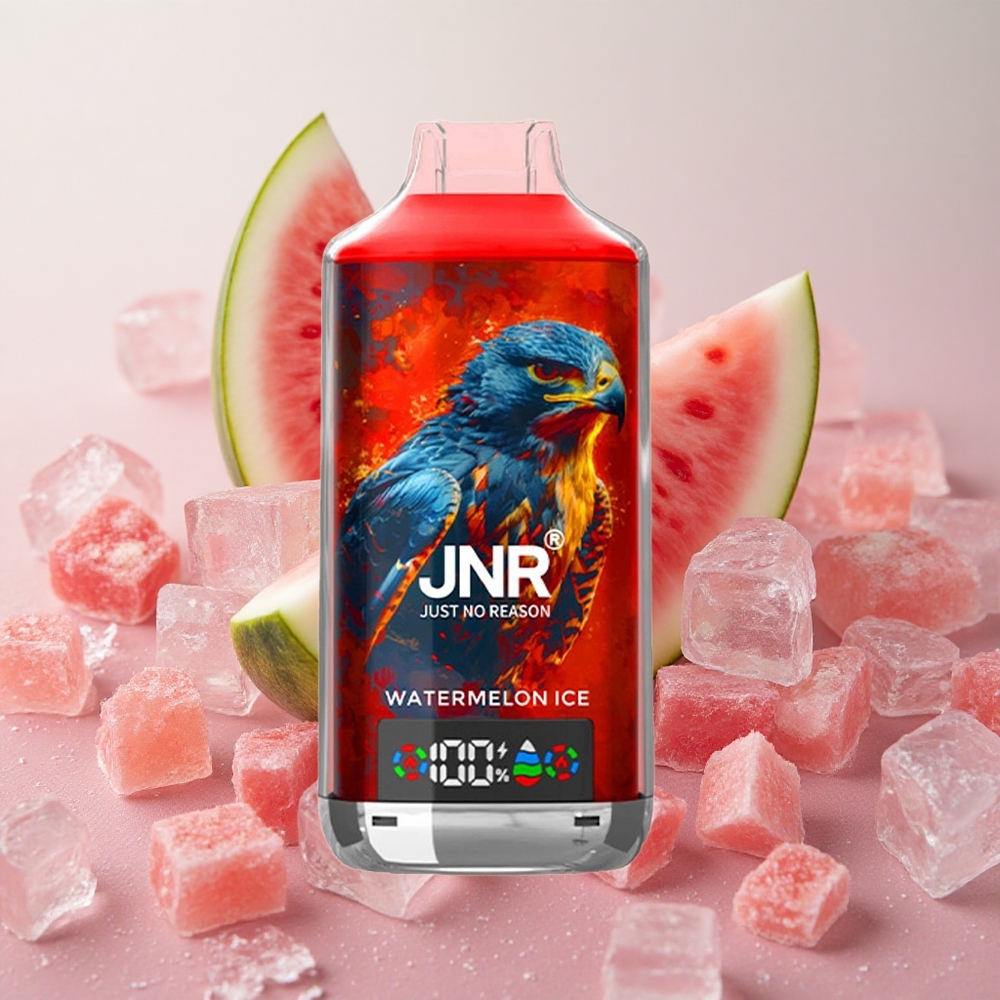 JNR Falcon X 18000 Puffs Dual Mesh Coil Digital Watermelon Ice