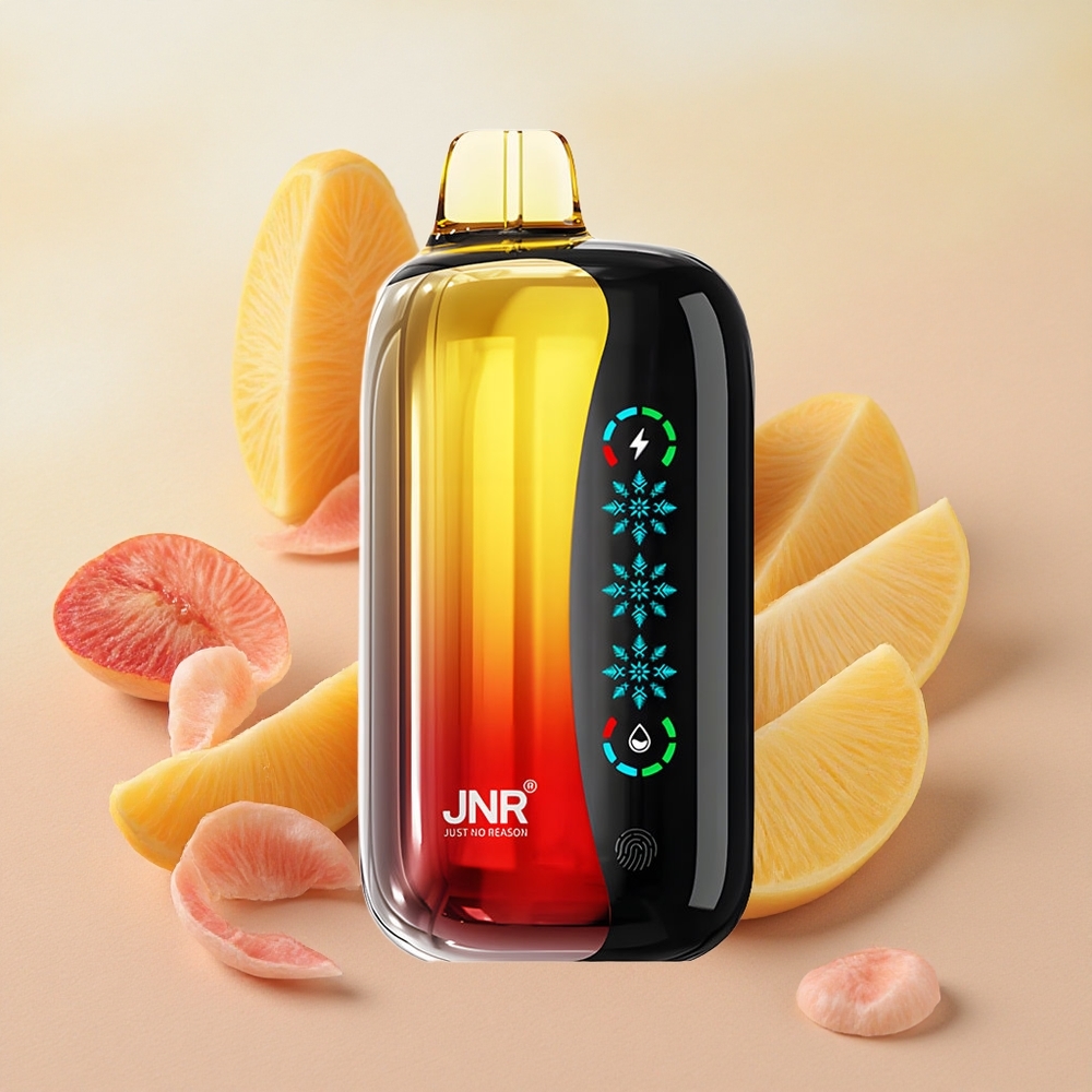 JNR Flex Ice 21000 Puffs Touch Screen Peach Mango Pineapple