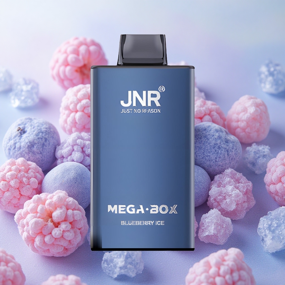 JNR Mega Box 25000 Puffs 30ml E-liquid Capacity Blueberry Ice