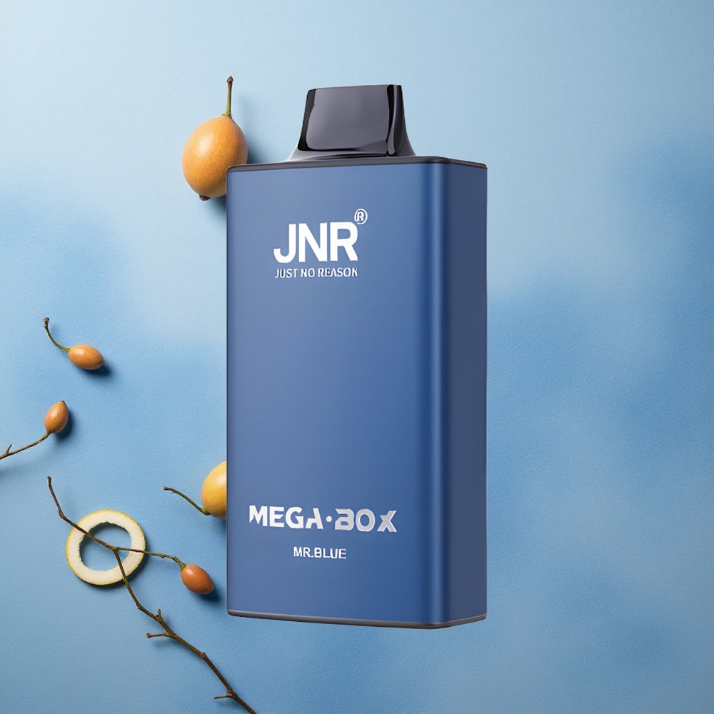 JNR Mega Box 25000 Puffs Dual Mesh Coil Mr Blue
