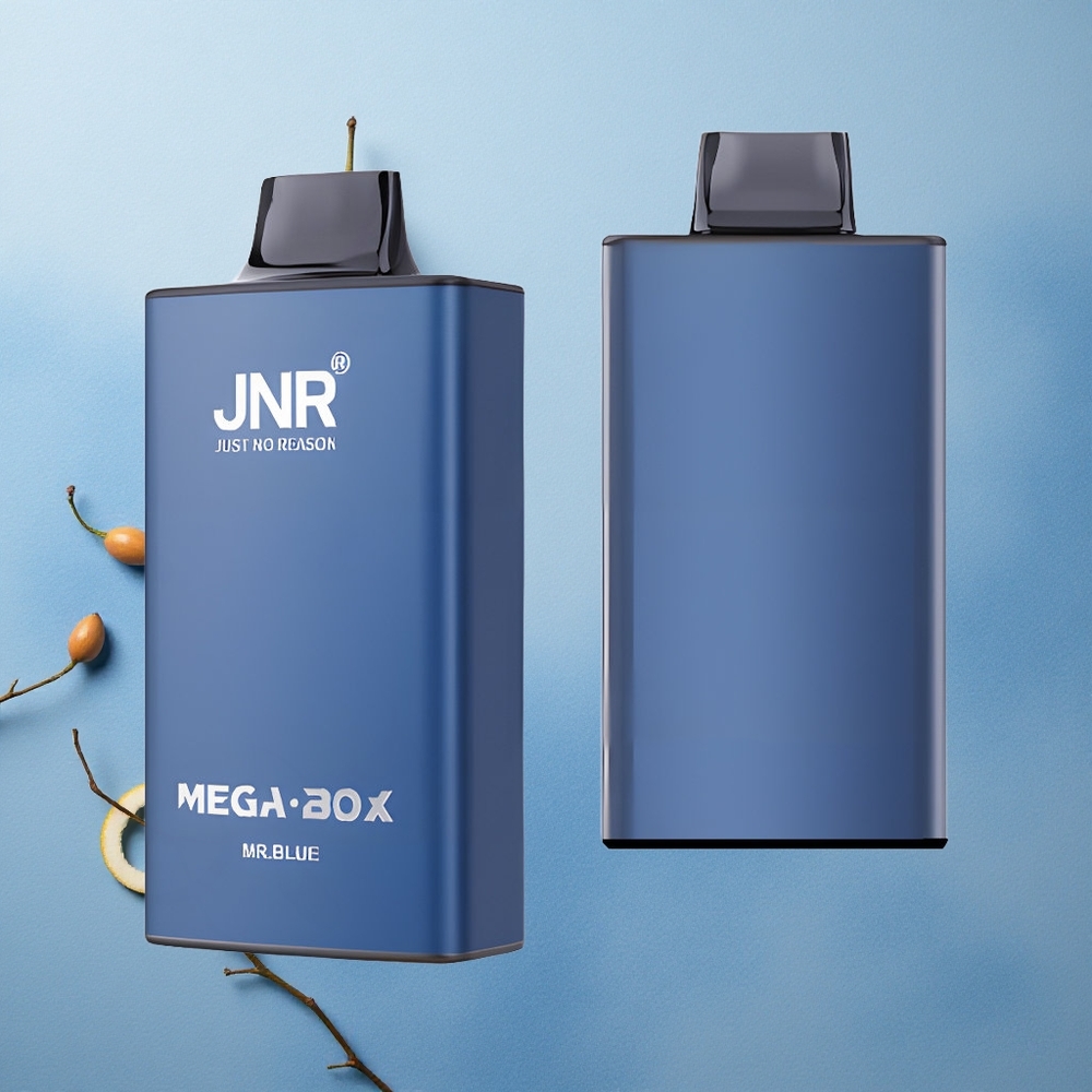 JNR Mega Box 25000 Puffs Dual Mesh Coil Mr Blue