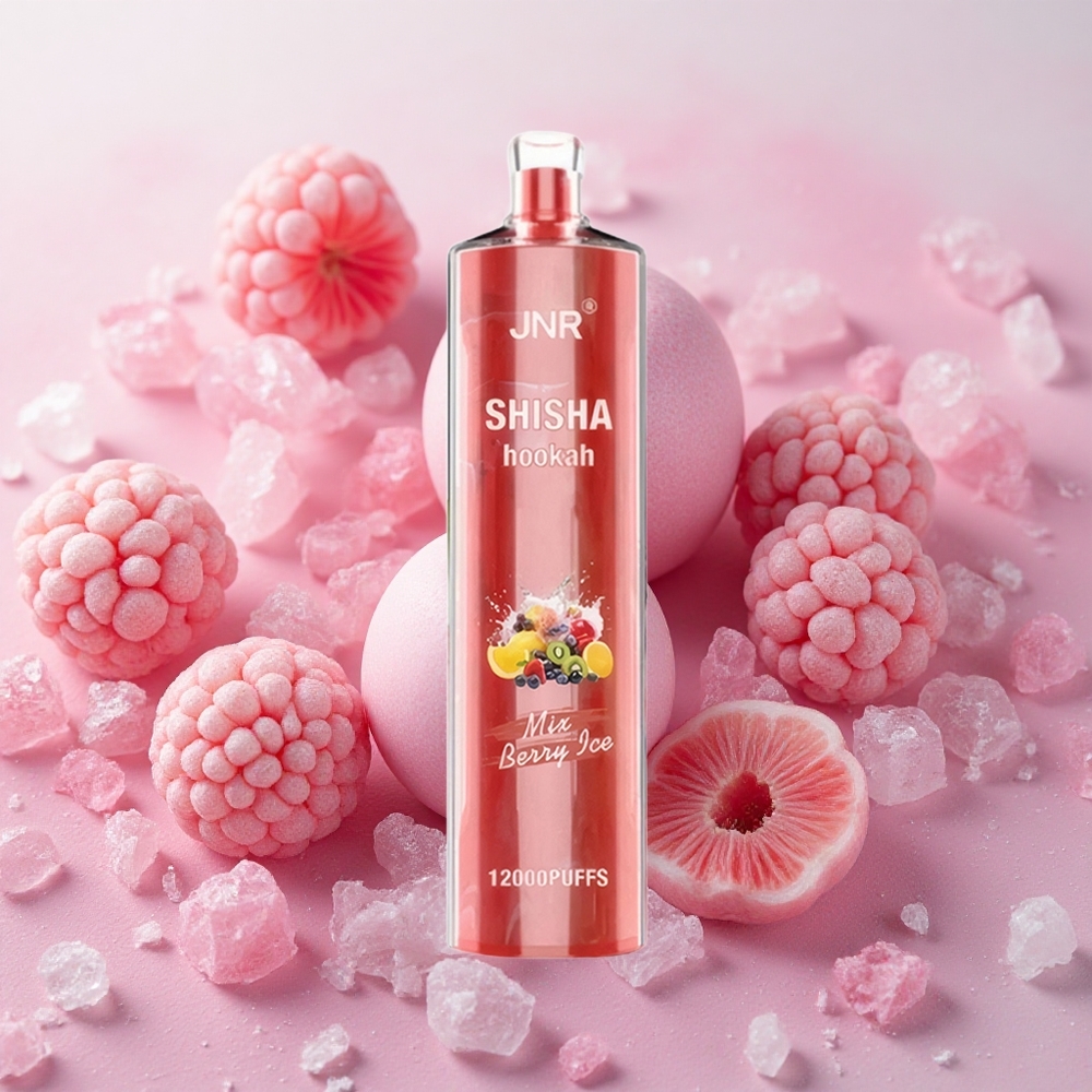 JNR Shisha Hookah 12000 Puffs 24ml E-liquid Capacity Berry Ice