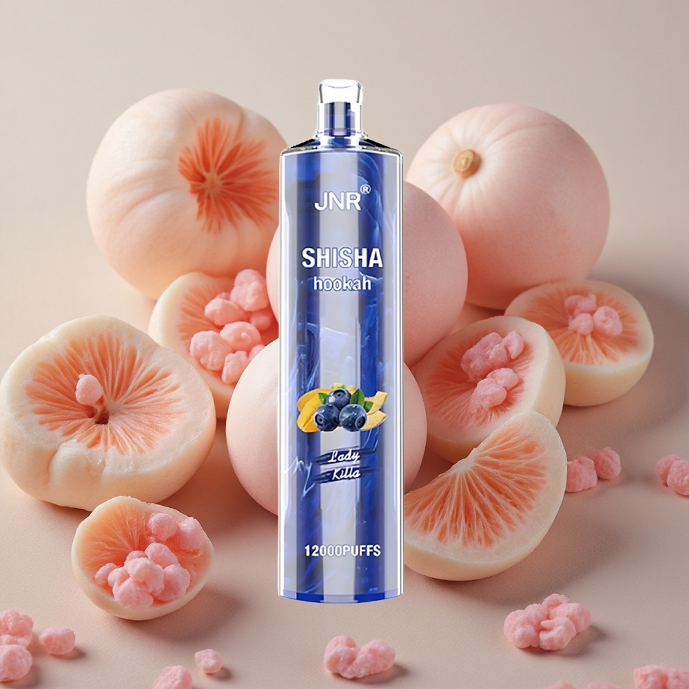 JNR Shisha Hookah 12000 Puffs 24ml E-liquid Capacity Lady Killa