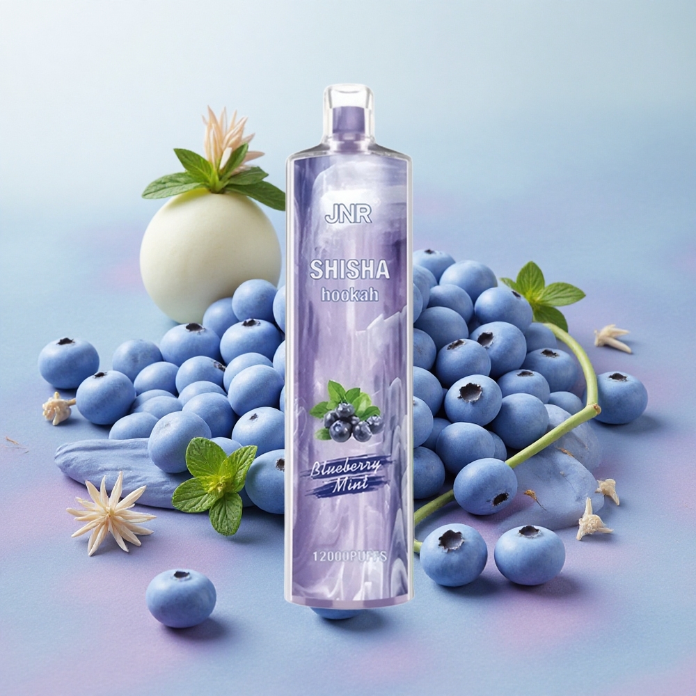 JNR Shisha Hookah 12000 Puffs 750mAh Battery 24ml E-liquid Capacity Blueberry Mint