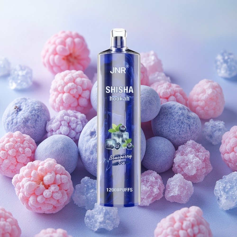 JNR Shisha Hookah 12000 Puffs 750mAh Battery Blueberry Ice