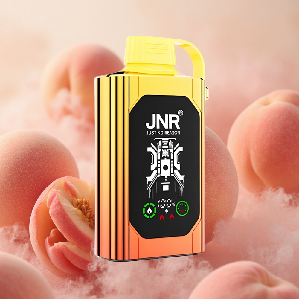 JNR Shisha Box 20500 Puffs Dual Mesh HD Juicy Peaches