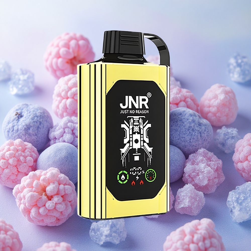 JNR Shisha Hookah 20500 Puffs HD Display Dual Mesh Blueberry Ice