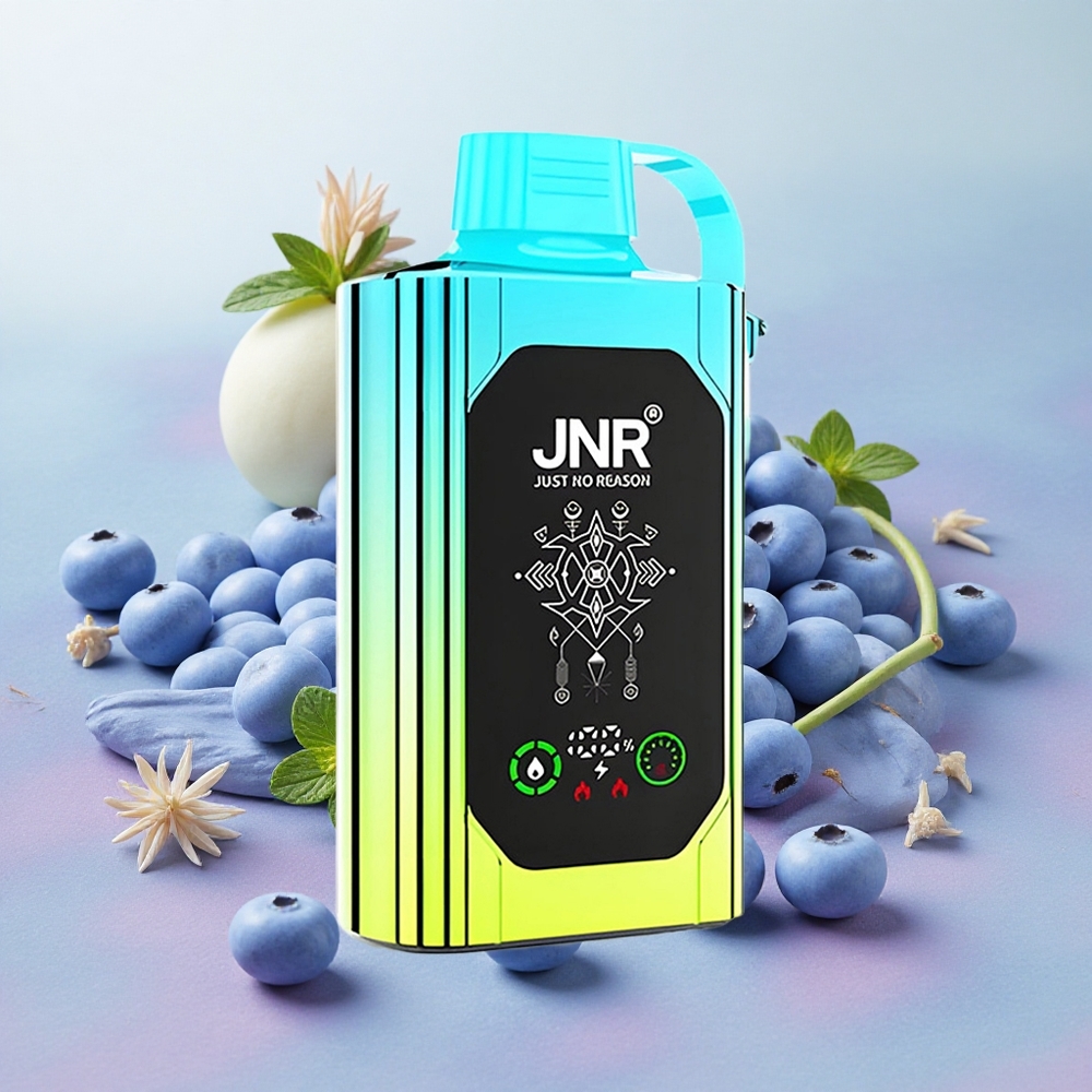 JNR Shisha Hookah 20500 Puffs HD Display Dual Mesh Coil Blueberry Mint