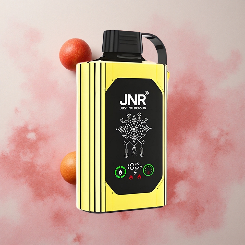 JNR Shisha Hookah 20500 Puffs HD Display Dual Mesh Coil Love 66