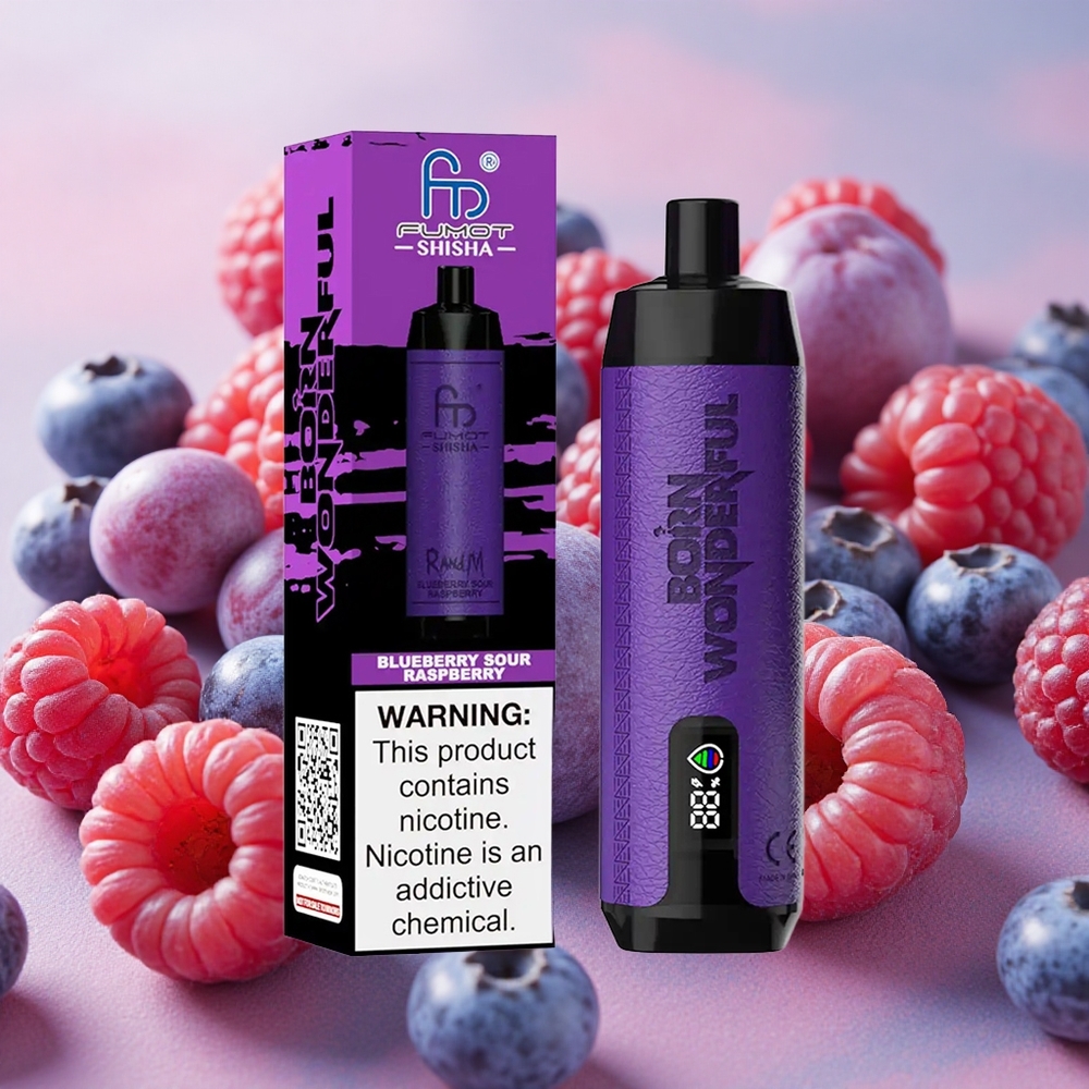 RandM Fumot Shisha 10000 Puffs 18ml E-liquid Capacity Disposable Vape Blueberry Sour Raspberry