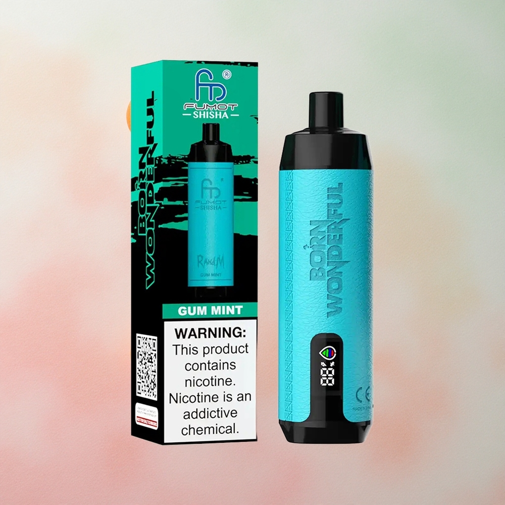 RandM Fumot Shisha 10000 Puffs 18ml E-liquid Capacity Disposable Vape Gum Mint