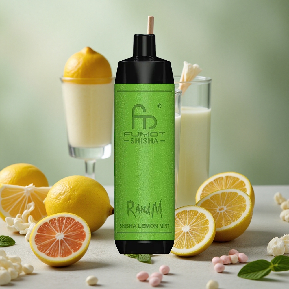RandM Fumot Shisha 10000 Puffs 18ml E-liquid Capacity Disposable Vape Lemon Mint