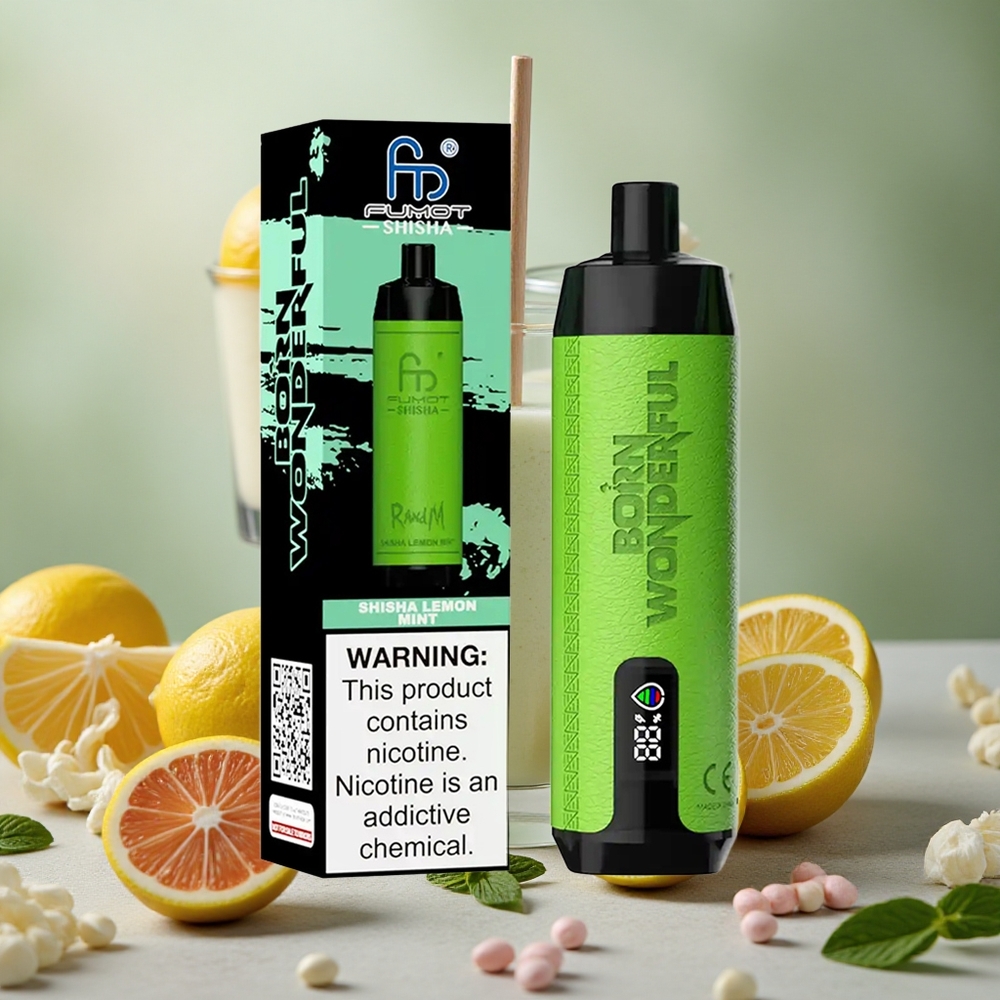 RandM Fumot Shisha 10000 Puffs 18ml E-liquid Capacity Disposable Vape Lemon Mint