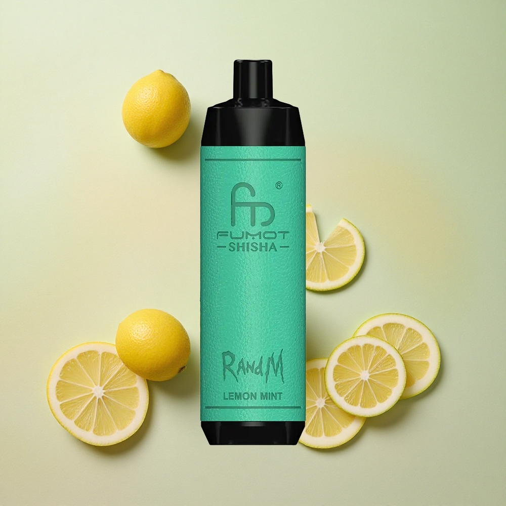 RandM Fumot Shisha 10000 Puffs 18ml E-liquid Capacity Lemon Mint Disposable Vape