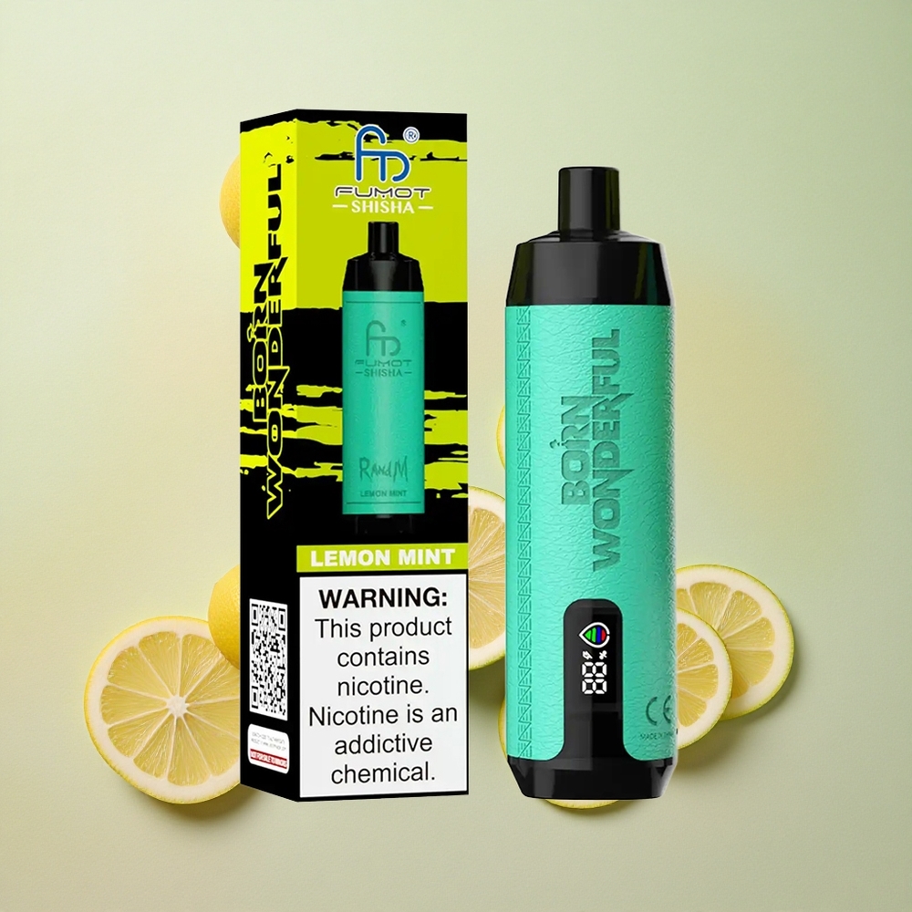 RandM Fumot Shisha 10000 Puffs 18ml E-liquid Capacity Lemon Mint Disposable Vape