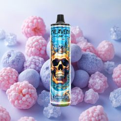 JNR Calavera 11000 Puffs 21ml E-liquid 1.0ohm Mesh Coil Blueberry Ice