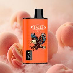 JNR EAGLE Smart 23000 Puffs 25ml E-liquid Juicy Peaches Disposable Vape