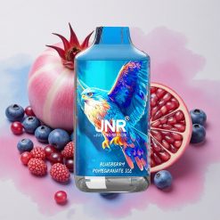 JNR Falcon 16000 Puffs 22ml E-liquid Capacity Dual Mesh Coil Blueberry Pomegranate Ice