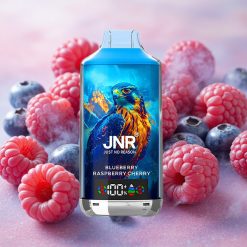 JNR Falcon X 18000 Puffs 24ml E-liquid Capacity Dual Mesh Coil Blueberry Raspberry Cherry