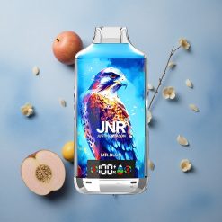 JNR Falcon X 18000 Puffs 24ml E-liquid Capacity Dual Mesh Coil Mr. Blue