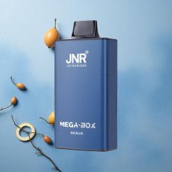 JNR Mega Box 25000 Puffs Dual Mesh Coil Mr Blue