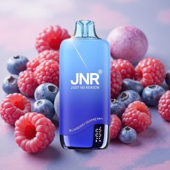 JNR Rainbow 10500 Puffs 18ml E-liquid Capacity Disposable Vape Blueberry Raspberry