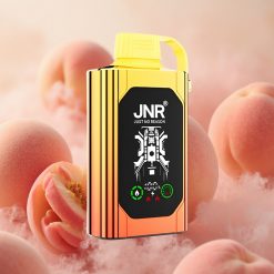 JNR Shisha Box 20500 Puffs Dual Mesh HD Juicy Peaches