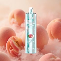 JNR Shisha Hookah 12000 Puffs 24ml E-liquid Capacity Juicy Peaches