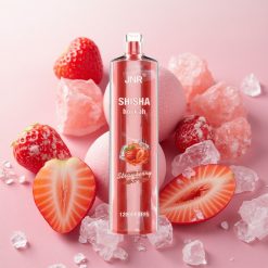JNR Shisha Hookah 12000 Puffs 24ml E-liquid Capacity Strawberry Ice