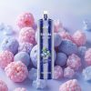 JNR Shisha Hookah 12000 Puffs 750mAh Battery Blueberry Ice