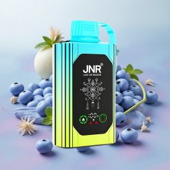 JNR Shisha Hookah 20500 Puffs HD Display Dual Mesh Coil Blueberry Mint