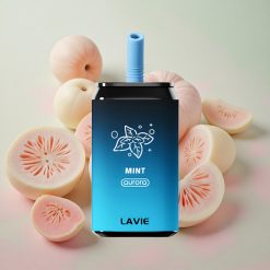LAVIE Aurora 11000 Puffs 22ml E-liquid Capacity Rechargeable Mint