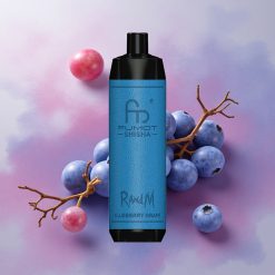 RandM Fumot Shisha 10000 Puffs 18ml E-liquid Capacity Disposable Vape Blueberry Grape